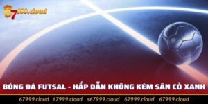 Bóng Đá Futsal - Hình Thức Thể Thao Mang Nhiều Kịch Tính