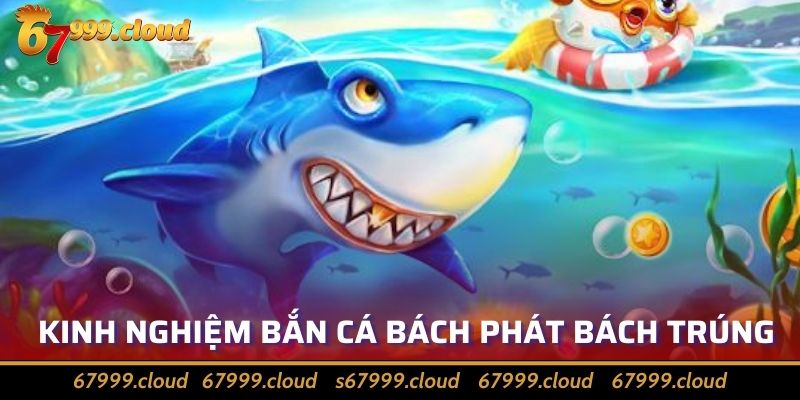 Liệt Kê Kinh Nghiệm Bắn Cá Online Hiệu Quả Nhất 2024