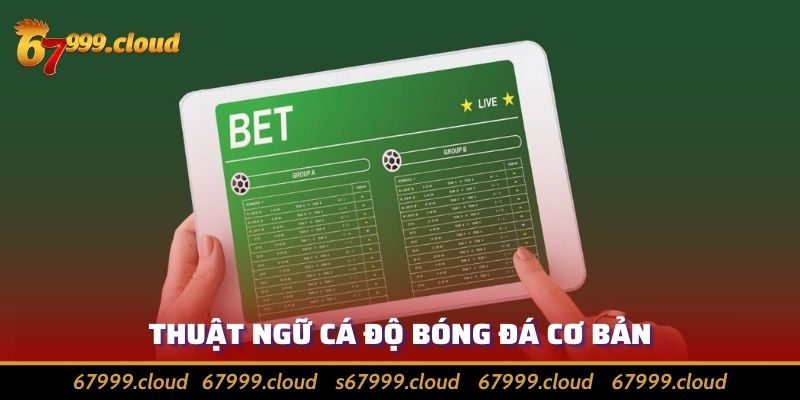 Làm Sáng Tỏ Mọi Thuật Ngữ Cá Độ Bóng Đá Cho Người Mới