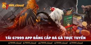 Tải 67999 Ngay Để Trải Nghiệm Giải Trí Mọi Nơi Mọi Lúc