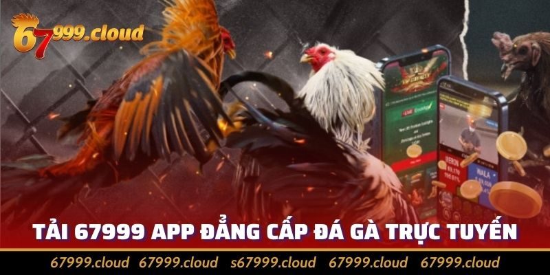 Tải 67999 Ngay Để Trải Nghiệm Giải Trí Mọi Nơi Mọi Lúc